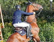 FRANCO Vinco io GioCav2013 S6 7734 : Campionati Italiani Giovani Cavalli, Cattolica, FRANCO Francesco, Vinco io, ph Stefano Secchi ©